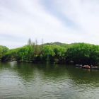 负离子整理剂_封面